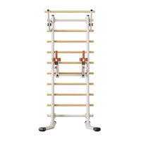 Échelle suédoise en bois de hêtre avec cadre de gymnastique en acier au carbone, réglable pour tractions et dips, idéale pour la maison