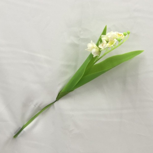Mughetto bianco
