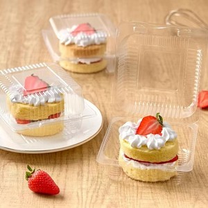 Clear Disposable PET Square Hinged Pet Food Container with Recycled Materials to Go Containers Clear Lids <strong>Cake</strong> <strong>Slice</strong> Containers - Product Image 2