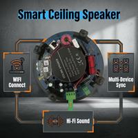 Amplificateur de haut-parleur de plafond WiFi Bluetooth 30W * 4 HIFI double fréquence WiFi Airplay haut-parleur de plafond multiroom avec télécommande