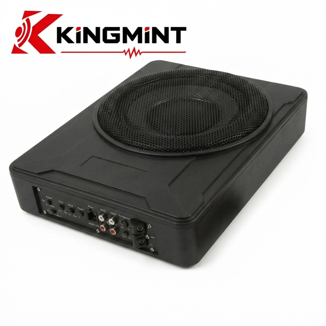Shallow Mount Slim 10 Inch 600W RMS Powered Subwoofer with Amp for Under Seat Car Audio Install