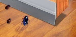 Con Dấu Chống Cháy Cửa Thời Tiết Và Con Dấu Cọ - Product Image 3