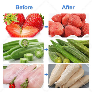 HNOC Industrial Freeze <strong>Dryer</strong> 50kg 100kg 500kg Capacity Fruit Sublimation Freeze Drying Machine - Product Image 3