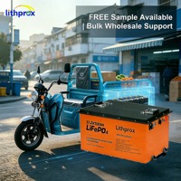 Rollstuhl-Akku 51,2V 150AH 105AH 150AH 200AH 5,38KWh 7,68KWh 10,24KWh LiFePO4 Batteriezelle Vibrationsfest Schnellladend für