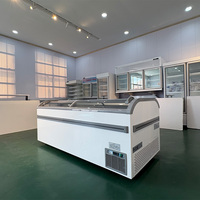 Congelador Comercial Combinado Tipo Isla para Supermercados, de Aluminio, con Descongelación Automática y Control Digital, para Alimentos Congelados en Hoteles