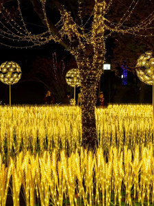 Luce LED a forma di <span class=keywords><strong>spiga</strong></span> di grano, <span class=keywords><strong>orzo</strong></span> e riso per esterni, ideale per Festival della Luce, Parchi, Piazze, Centri Commerciali, Aiuole e Decorazioni per Prati - Product Image 4