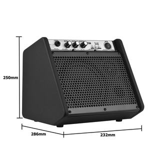 Accessoires de guitare, instrument de musique, mini haut-parleur de monitoring personnel 20W, amplificateur de batterie électrique avec entrée USB - Product Image 3