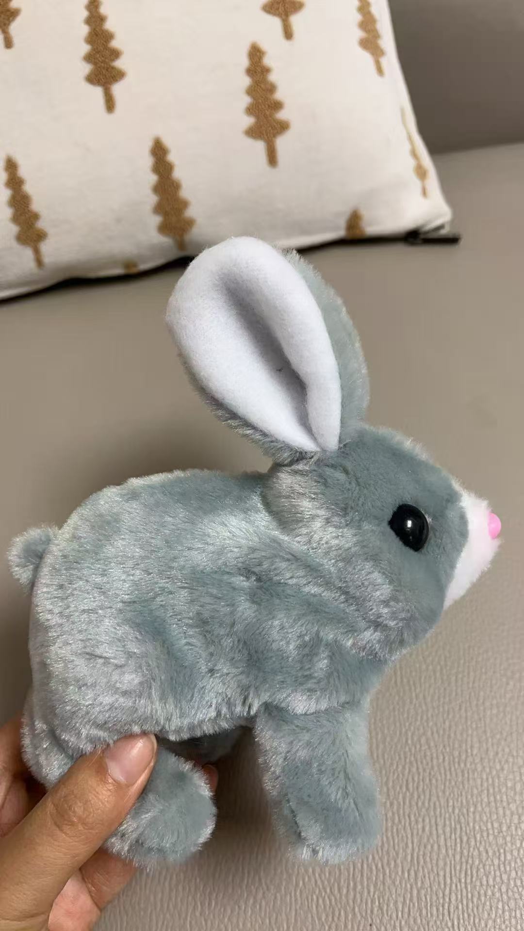Gray rabbit-no carrot