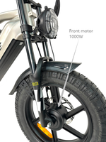 Vélo électrique 2000W à double moteur, batterie à deux roues motrices, 20x4.0 pouces, gros pneu, double moteur