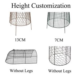 Cloches de jardin rustiques en fil métallique, anti-écureuil, en grillage pour poulets, pour protéger les plantes contre les animaux, couverture métallique, cage de protection - Product Image 6