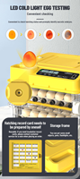 Équipement d'incubation de volailles entièrement automatique, incubateur d'œufs multicouche, machine d'éclosion automatique, machine agricole pour volailles