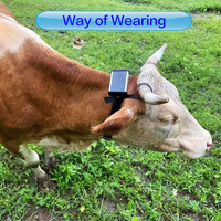 Traceur GPS GLONASS WiFi pour moutons, bovins, vaches, garantie 1 an, 4G, étanche, alimenté par batterie, compatible Android IOS, utilisation agricole