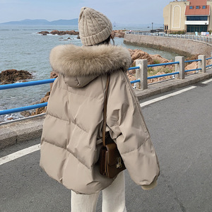 Veste en coton duvet pour femmes <span class=keywords><strong>2023</strong></span> nouvel hiver version coréenne coupe ample peluche épaisse veste en coton veste courte <span class=keywords><strong>pain</strong></span> tendance - Product Image 4