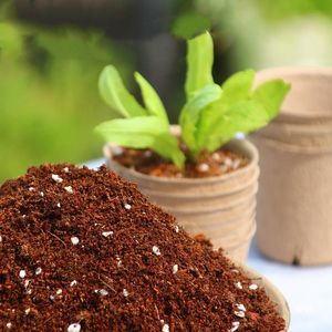 Pots d'ensemencement de fleurs <span class=keywords><strong>en</strong></span> pâte à papier biodégradable écologique Pots de plantation Pots de tourbe <span class=keywords><strong>pour</strong></span> chaîne de traînée de serre - Product Image 6