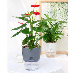 Maceta de <span class=keywords><strong>Interior</strong></span> de autorriego Decoración de maceta de plástico blanco con flores de orquídeas Paquete de decoración de plantas de <span class=keywords><strong>interior</strong></span> - Product Image 6