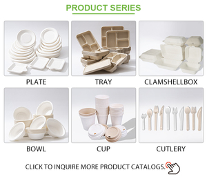 Thân Thiện Với Môi Phân Hủy Pfas Miễn Phí Mía Bột Giấy Phân Hủy Sinh Học Compostable Vuông Sinh Thái Dùng Một Lần Bã Mía Tấm - Product Image 6