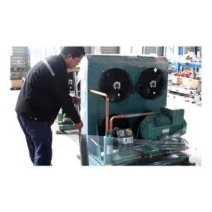 Refrigeration condensing unit 2HP low temperature with piston Compressor cold room Condensing Unit