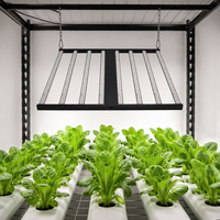 Hortlight 240W/320W/640W/720W/800W Lampe de culture LED pliable à intensité variable IP65 en aluminium pour la floraison en intérieur