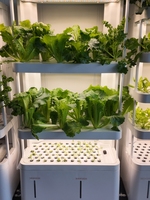 Chambre de croissance des plantes avec système de contrôle environnemental intelligent pour la recherche agricole