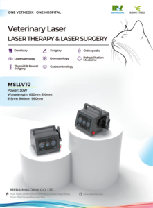 NUEVO Láser Fisioterapia Cirugía gato Perro Caballo 650nm 810nm 915nm 940nm 980nm - Product Image 5