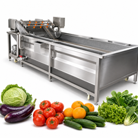 3m Fruit- en Bellenwasmachine voor Appel, Sinaasappel, Aardbei, Kers, Citroen, Mango, Tomaat, Chinese Bieslook. Wasapparaat geleverd.