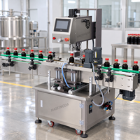Glazen flesafsluitmachine, schroefdop sluitmachine voor voedsel, dranken, cosmetica, dagelijkse chemicaliën, vloeistofverpakkingsproductie