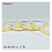 Bande lumineuse LED flexible en cuivre personnalisable, étanche IP68, dimmable, Ra90, 2700K, 5m/rouleau, conforme CE ROHS