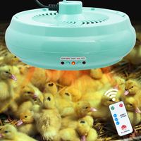 Lampe chauffante intelligente pour animaux de ferme, contrôle de la température de la lumière chaude, équipement de chauffage pour couvaison de volaille, 1 pièce