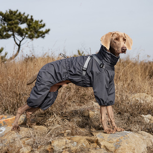 Chubasquero reflectante para perros al por mayor, chubasquero para perros, chubasquero de invierno de fábrica de cuatro patas, ligero, resistente al agua, ropa sostenible para mascotas - Product Image 3