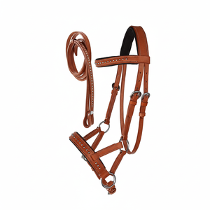 บังเหียนหนังม้าแบบมืออาชีพพร้อมบังเหียนฝึกขี่ม้าแบบตะวันตกของอังกฤษทนทานใส่สบายสั่งซื้อจำนวนมาก - Product Image 1