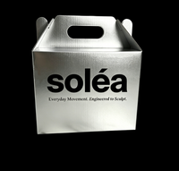 Boîte en carton argenté personnalisée de luxe avec poignée, auto-érectible, jetable, pour emballage alimentaire, promotion, cadeau, vêtements