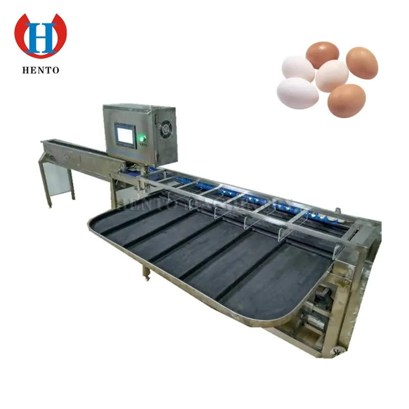 Large Capacity Grading Machine for Chicken Eggs / Eggs Grading Machine for Sale / Egg Sorting Machine Price