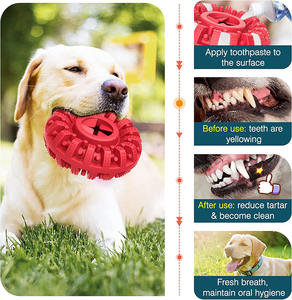 Giocattoli da Masticare per Cani in Gomma Naturale Indistruttibile, Dispenser di Snack, Pulizia Denti, Giocattoli Alimentari per Cani Masticatori Aggressivi - Product Image 4