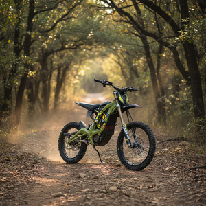 Motocicleta Eléctrica Todoterreno de Bajo Precio, Motor Cheapsurron, <span class=keywords><strong>Sutton</strong></span> Light Bee X Todoterreno, Light Bee X 2026 - Product Image 6