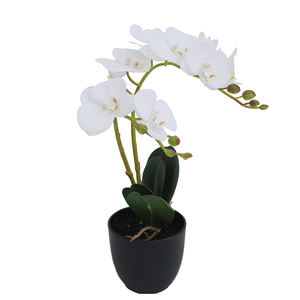 Chất lượng cao Thiết kế thời trang Hot Bán trong nhà văn phòng nhà Bonsai nhân tạo phong lan hoa - Product Image 1