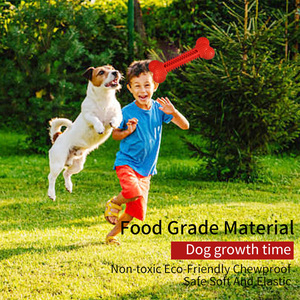 Negozio di animali personalizzato Multi-colore Golf Design in Nylon gomma TPR TPE brevetto cane forma di osso giocattoli da masticare per la pulizia dei denti del cane - Product Image 3