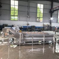 304 roestvrijstalen reinigingsmachine voor fruit, groenten en zeevruchten Reinigingsapparatuur voor fruit, groenten, champignons en zeevruchten