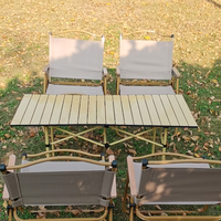 Table pliante moderne en acier au carbone pour l'extérieur, design portable pour le camping, la plage, les pique-niques, les barbecues, les repas et la salle de sport
