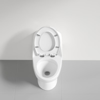 WC monobloc de luxe en céramique haute température, à poser au sol, avec abattant à fermeture silencieuse, design contemporain