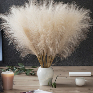 <span class=keywords><strong>Fiori</strong></span> di Pampas Soffici e Durevoli per Decorazioni Matrimoniali, <span class=keywords><strong>Fiori</strong></span> Secchi Direttamente dalla Fabbrica - Product Image 4