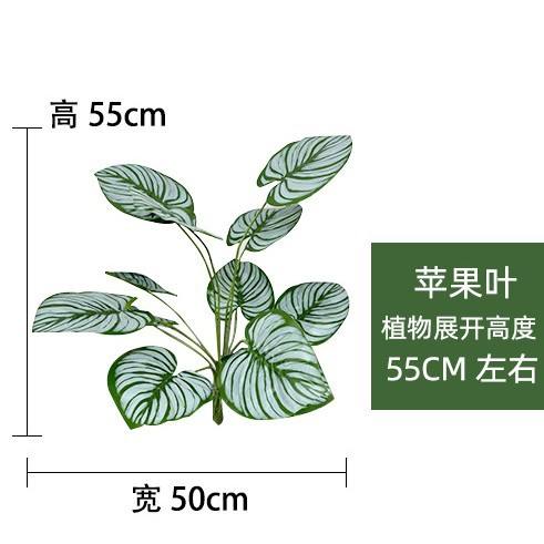 New big watermelon leaf