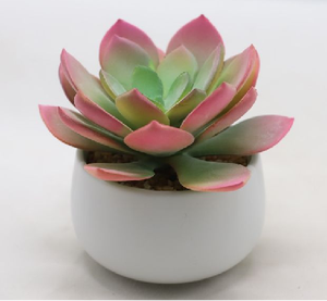 Piante Succulente Artificiali, Decorazioni con Piante Verdi, Mini Ornamenti <span class=keywords><strong>di</strong></span> <span class=keywords><strong>Cactus</strong></span>, Combinazione <span class=keywords><strong>di</strong></span> Vasi per Succulente, Bonsai - Product Image 4