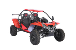Kart tout-terrain certifié EPA/EEC, buggy tout-terrain 4x4 Renli 500cc économique pour adultes - Product Image 4