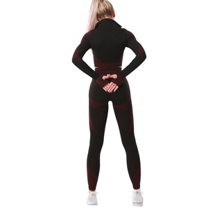 Conjunto Deportivo de Yoga sin Costuras a la Moda, Conjunto de Dos Piezas, Leggings y Top con Cremallera para Gimnasio, Leggings de Yoga para Mujer - Product Image 2