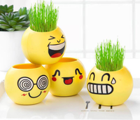Plante en pot DIY avec poupée en herbe visage souriant, décoration artisanale pour micro-paysage, plante d'intérieur facile d'entretien