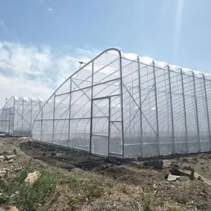 Kleine Solar gewächshaus Doppel bogen verzinkte Stahl konstruktion Wasserdichte warme Stepp decke Kalter Winter Warme passive Solaranlagen PE - Product Image 2