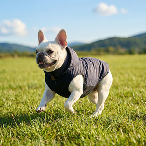 Her Mevsime Uygun Evcil Hayvan Dış Mekan Giysisi, Degrade Kumaş Köpek Ceketi, Köpek Kıyafeti - Product Image 4