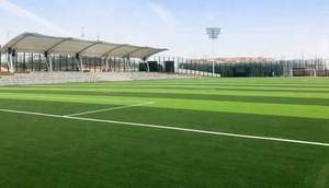 Césped Artificial de PE sin Relleno de 30 mm, Césped Sintético Resistente a los Rayos UV <span class=keywords><strong>para</strong></span> <span class=keywords><strong>Canchas</strong></span> de Fútbol Sala al Aire Libre - Product Image 6