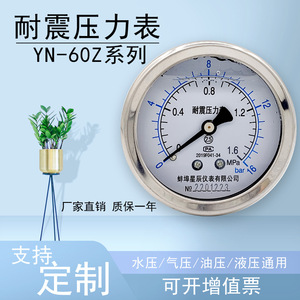 เกจวัดแรงดัน Bengbu Star YN60Z ขนาด 60 มม. 0-60MPa แบบกันกระแทกชนิดแกน - Product Image 5