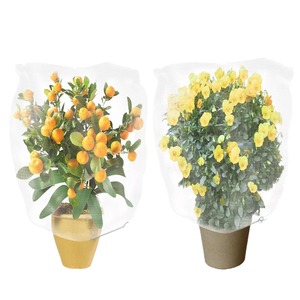 Malla antimosquitos agrícola CY Chengye, blanca, de HDPE, para árboles frutales, control de plagas de plantas, malla de jardín - Product Image 3